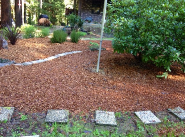 Have us add the mulch to your soil, and see the improvements for yourself! | Alex's Gardening Services