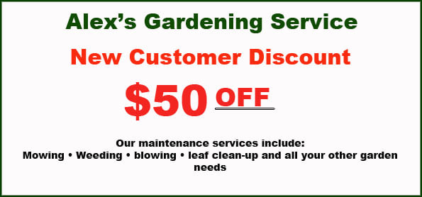 The following coupons are seasonal or are a limited time offer. Shop online deals in Mendocino County. Discount Coupons in Mendocino County | Alex's Gardening Services