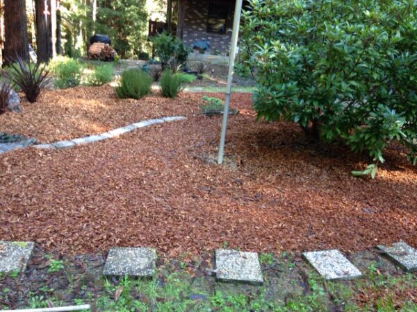 Commercial Landscape Maintenance in Mendocino County | Alex's Gardening Services