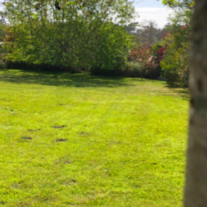 Commercial and residential lawn maintenance services in Mendocino County