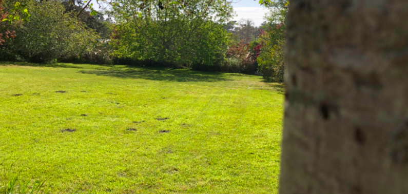 Commercial and residential lawn maintenance services in Mendocino County