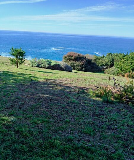 Commercial and residential landscaping services in Mendocino County | Affordable landscaping and Gardening Services in Mendocino County | Landscaping and gardening services in Fort Bragg California | Mendocino Lawn Care | Landscaping services in Ukiah California | Landscaping services in Willits California | Affordable Gardening Services in Fort Bragg California | Lawn Care services in Fort Bragg California | Lawn maintenance services in Fort Bragg California | | Alex's Gardening Services