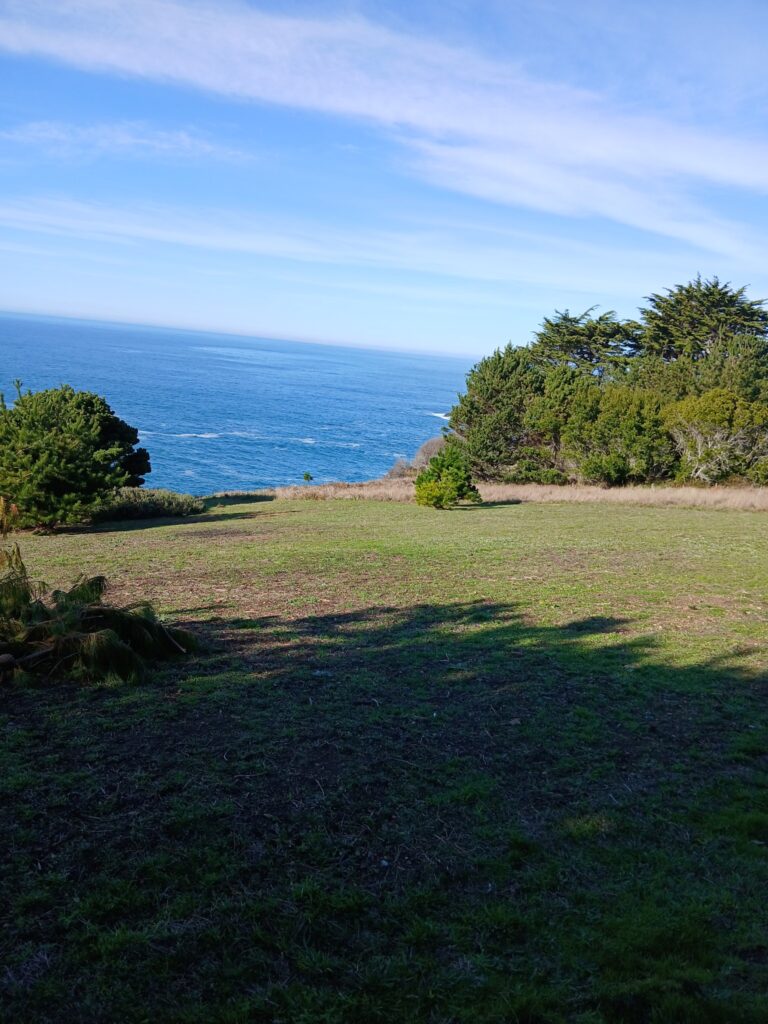 Commercial and residential landscaping services in Mendocino County | Affordable landscaping and Gardening Services in Mendocino County | Landscaping and gardening services in Fort Bragg California | Mendocino Lawn Care | Landscaping services in Ukiah California | Landscaping services in Willits California | Affordable Gardening Services in Fort Bragg California | Lawn Care services in Fort Bragg California | Lawn maintenance services in Fort Bragg California | | Alex's Gardening Services