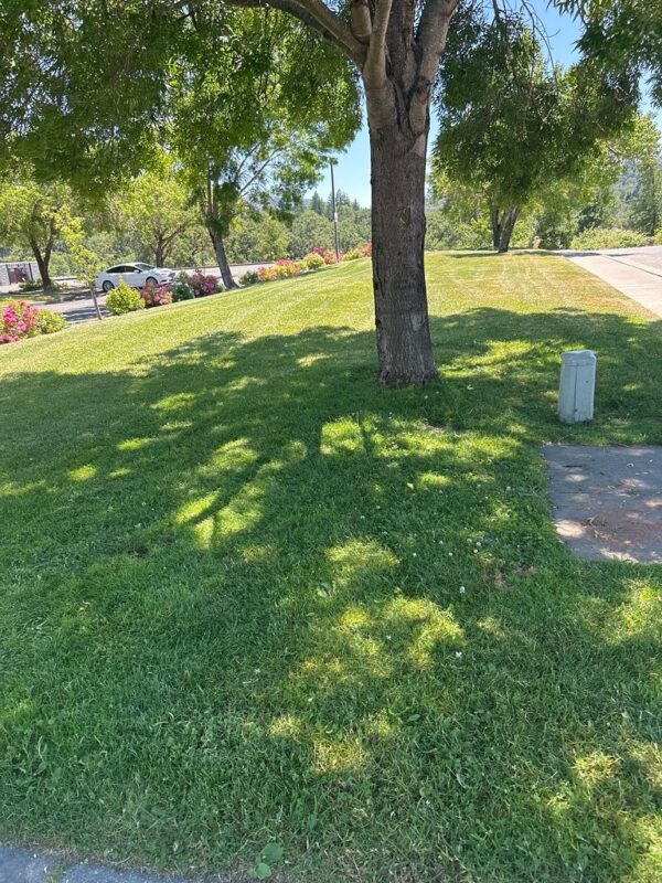 General Grounds Maintenance: From regular landscaping services, lawn care and seasonal cleanups to mulching and weed control, we keep your grounds looking immaculate year-round. | Alex's Gardening Services