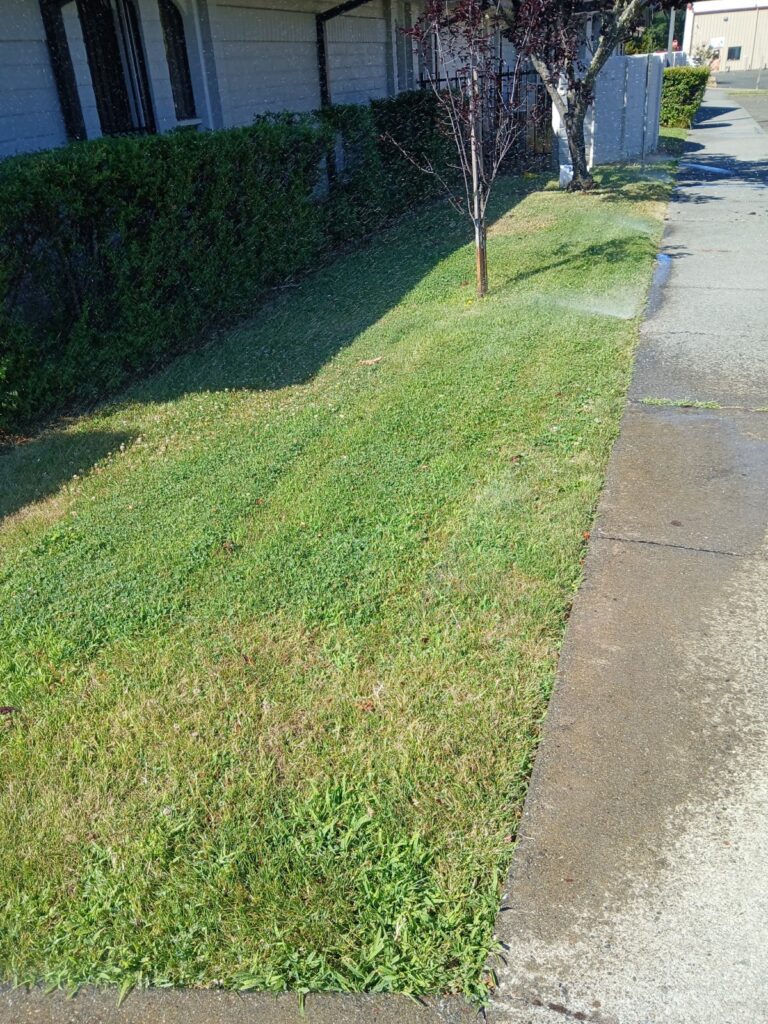 Commercial and residential landscaping services in Mendocino County | Commercial landscaping services in Mendocino County | Residential landscaping services in Mendocino County Affordable landscaping and Gardening Services in Mendocino County | Landscaping and gardening services in Fort Bragg California | Mendocino Lawn Care | Landscaping services in Ukiah California | Landscaping services in Willits California | Affordable Gardening Services in Fort Bragg California | Lawn Care services in Fort Bragg California | Lawn maintenance services in Fort Bragg California | Landscaping services in Fort Bragg, California | Alex's Gardening Services