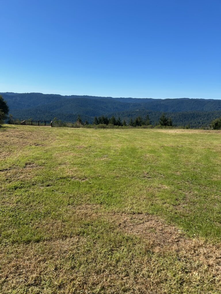 Property clean up services in Mendocino County, California